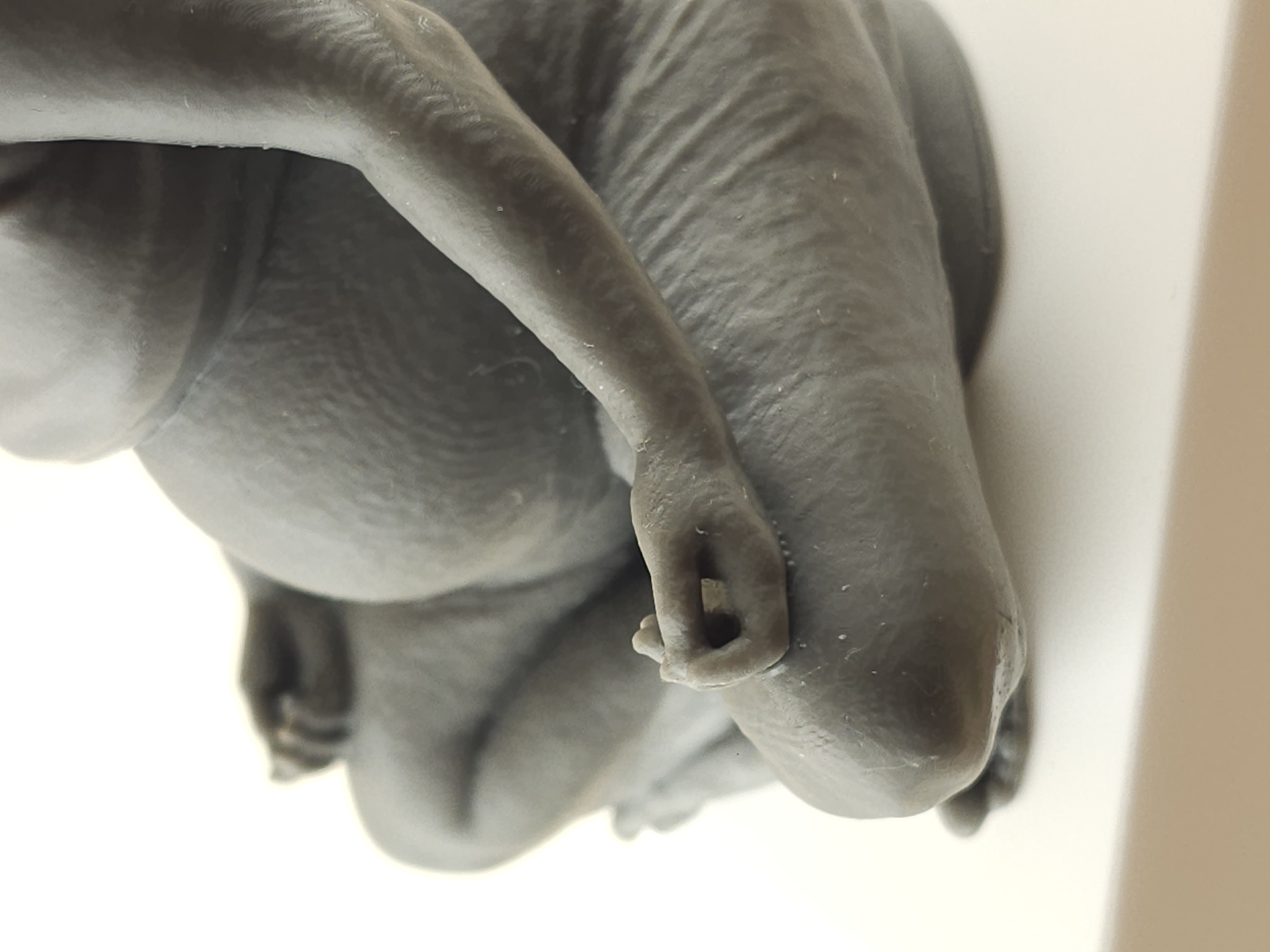 detail3 